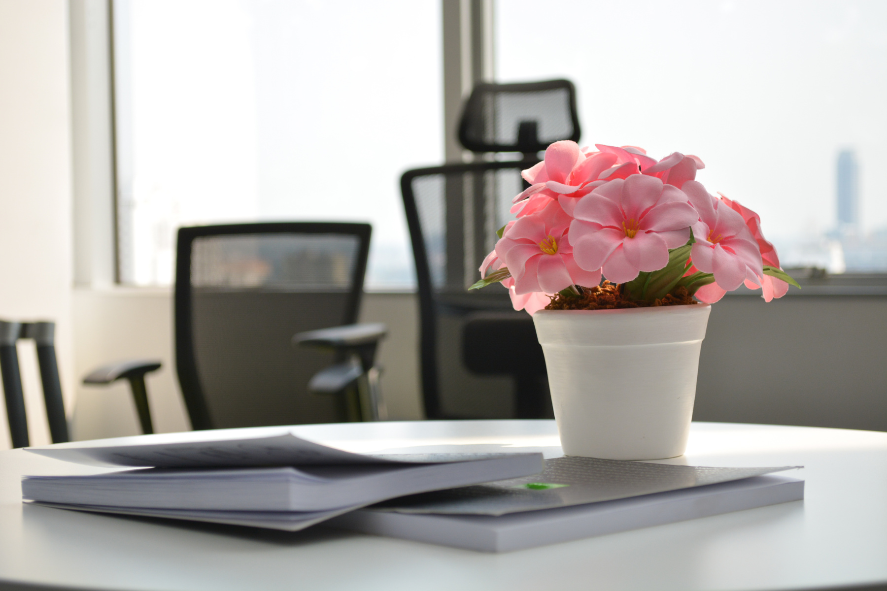 Decorative flower on desk office